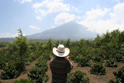 Guatemala Linda Vista